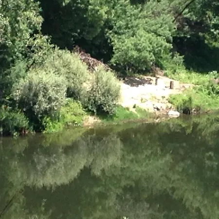 Farm stay Quinta Escomoeiras *