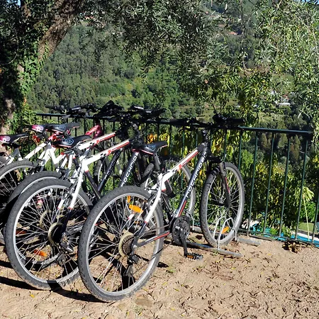 Quinta Escomoeiras ファームステイ