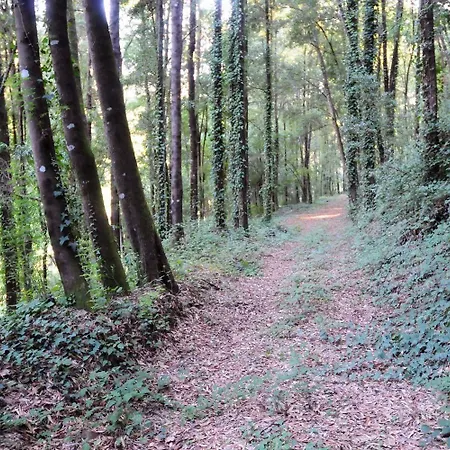 Quinta Escomoeiras Celorico De Basto