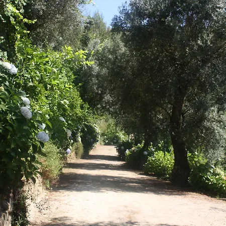 Alojamento de Turismo Rural Quinta Escomoeiras Celorico De Basto