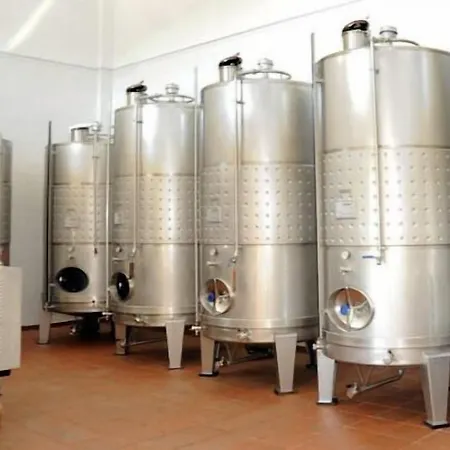 Farm stay Quinta Escomoeiras