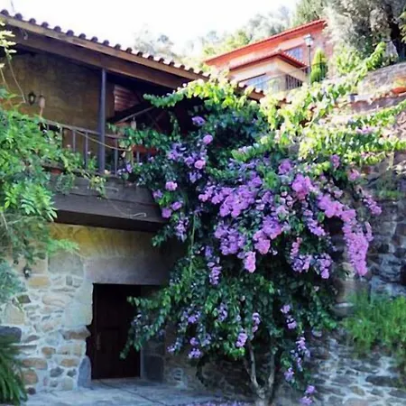 בית חווה Quinta Escomoeiras סלוריקו דה באשטו
