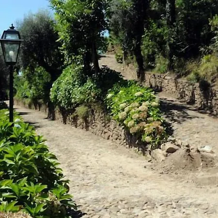 Quinta Escomoeiras Celorico De Basto