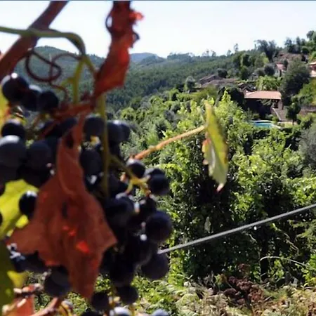 Quinta Escomoeiras Bauernhof