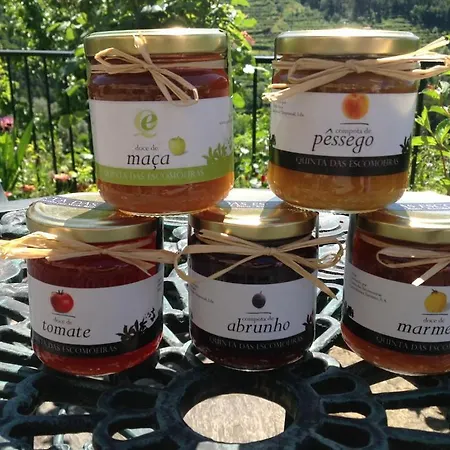 Quinta Escomoeiras Bauernhof Celorico De Basto