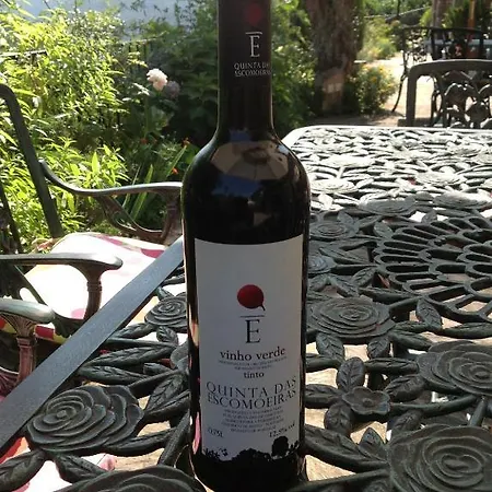 Quinta Escomoeiras * Celorico De Basto