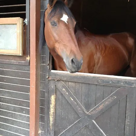 Quinta Escomoeiras Farm stay