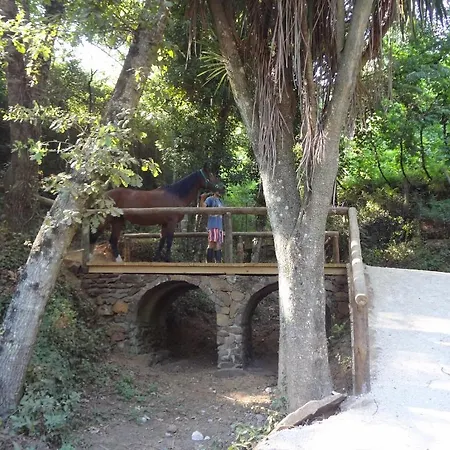 Quinta Escomoeiras Farm stay Celorico De Basto