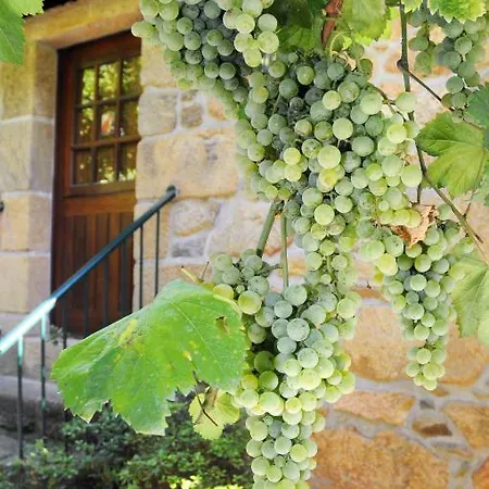 Quinta Escomoeiras Farm stay Celorico De Basto