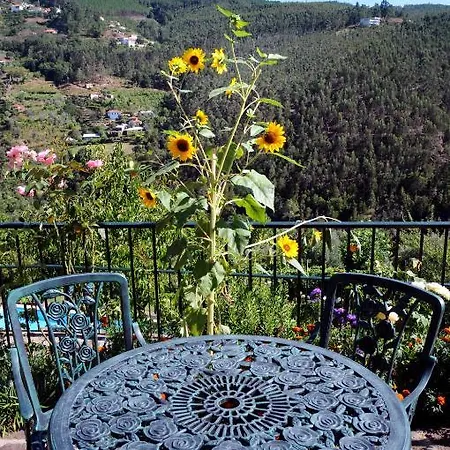 Quinta Escomoeiras Celorico De Basto