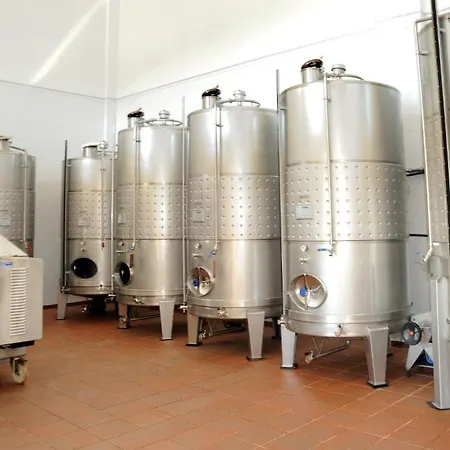 Farm stay Quinta Escomoeiras