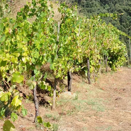 Quinta Escomoeiras Farm stay