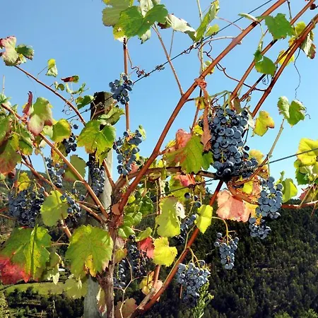 Quinta Escomoeiras *