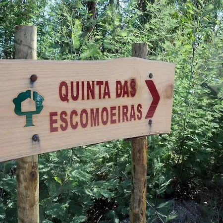 בית חווה Quinta Escomoeiras *