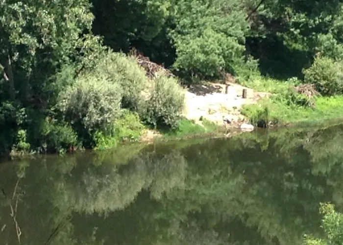 Séjour à la ferme Quinta Escomoeiras *