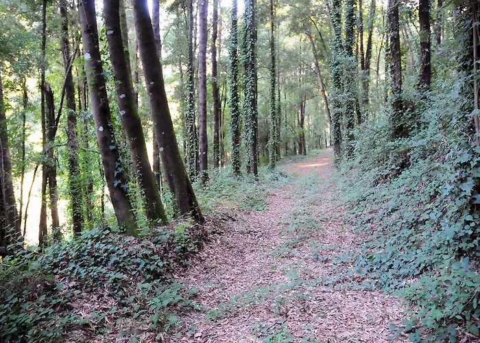 Quinta Escomoeiras Celorico De Basto