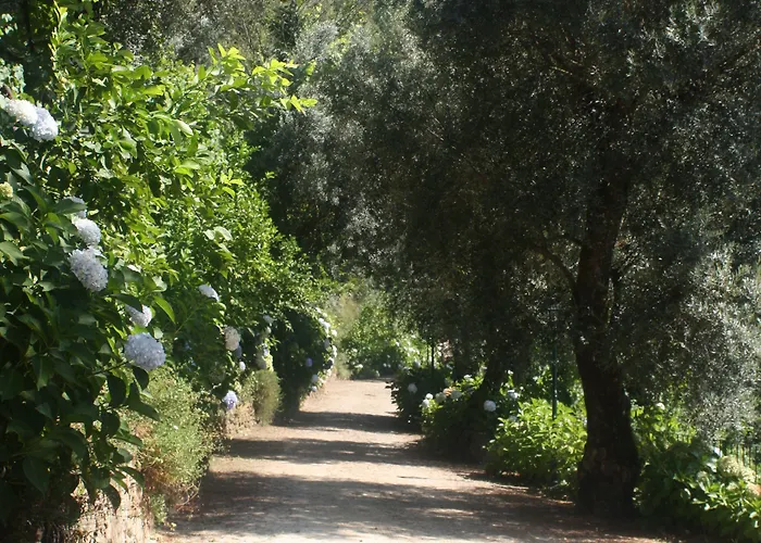 Séjour à la ferme Quinta Escomoeiras Castelbuono