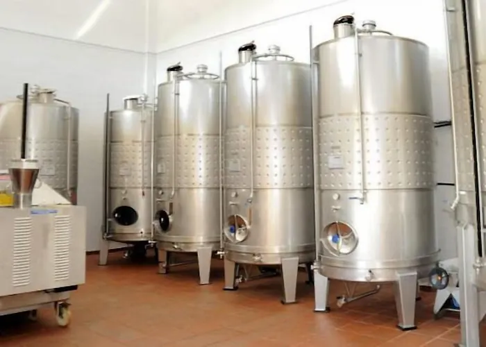 Séjour à la ferme Quinta Escomoeiras