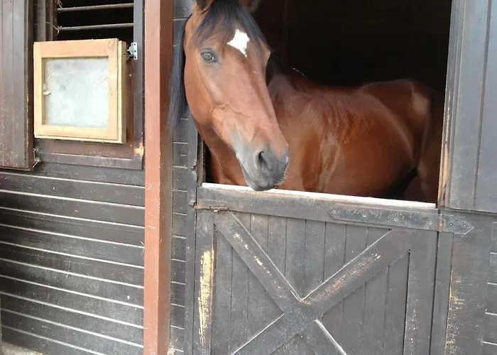 Quinta Escomoeiras Feriegård