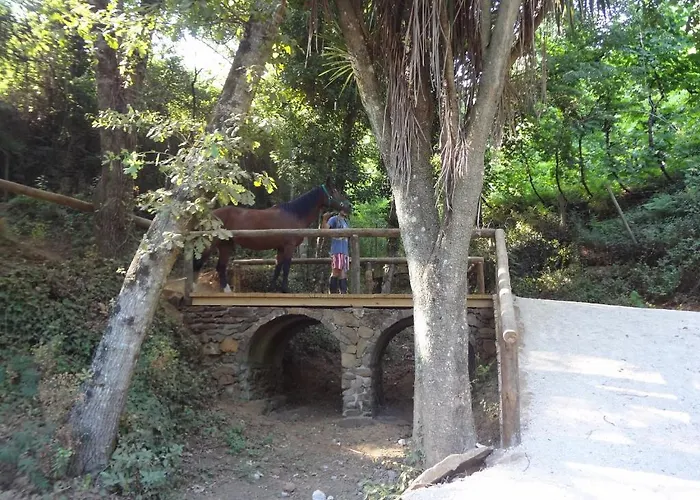 Quinta Escomoeiras Feriegård Celorico De Basto