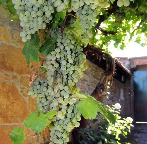 Quinta Escomoeiras * Celorico De Basto