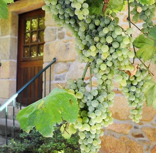 Quinta Escomoeiras Séjour à la ferme Castelbuono