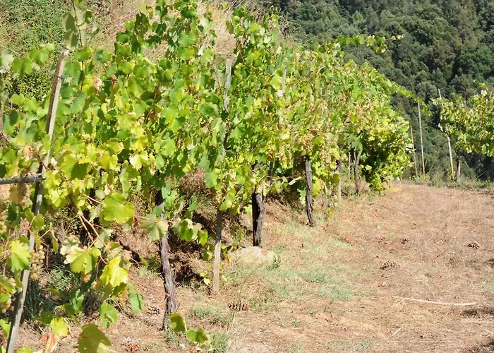 Quinta Escomoeiras Séjour à la ferme